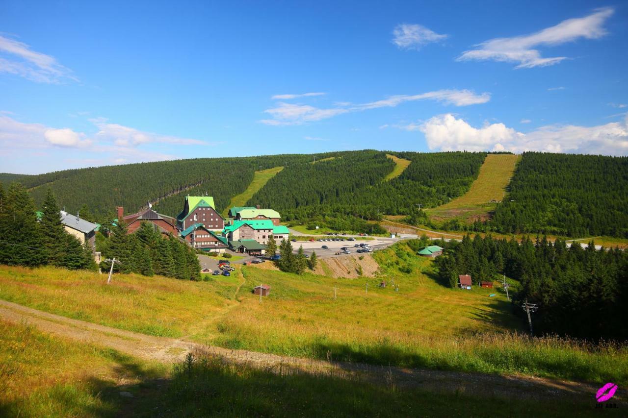 Apartman 77 Лоучна-над-Десноу Экстерьер фото